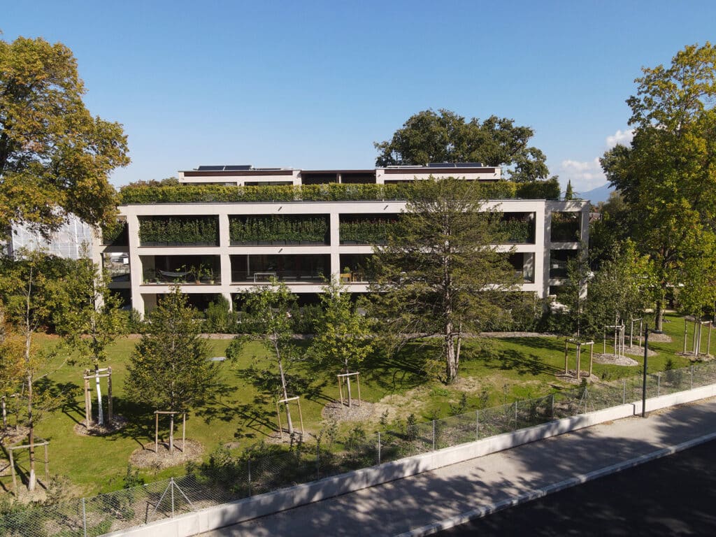DJI_0344